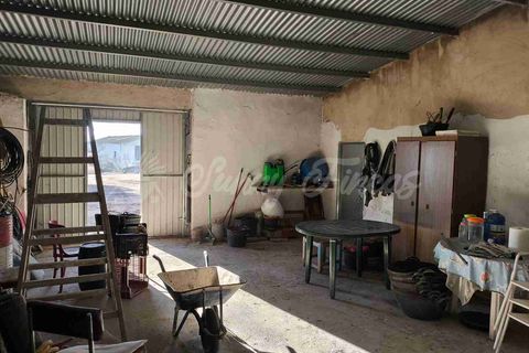 Landejendom i Yecla, Murcia, Yecla - € 63.000 | Ref: SF0550 - foto 20